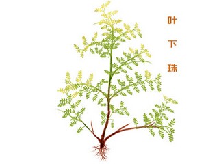 浪漫爱情诗歌《冬日情歌》_冬日情感共鸣诗歌