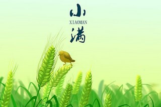 班级假期读书过程总结_班级读书总结报告参考
