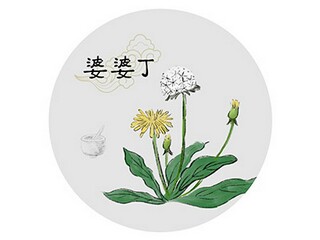 最霸气小学生情书_霸气小学情书走红