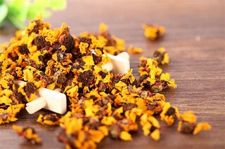 正能量的话励志的句子(正能量的话励志短句)