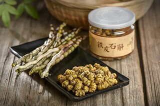 游览经历作文(游览经历作文50字)