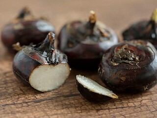 喜迎虎年春节虎虎生威对联_虎虎生威喜迎春下联