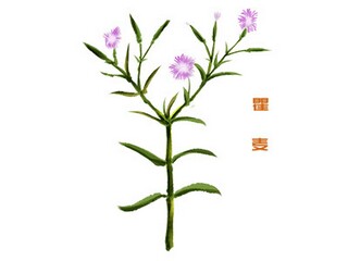 赞美周末愉快的诗句_赞美周末好心情的句子