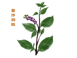 花的优美句子(花的优美句子摘抄三年级)