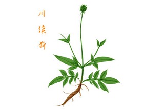 寻找春天作文(寻找春天作文400个字)