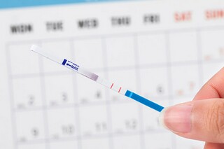 高中语文离骚教案_高中语文离骚翻译