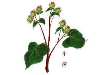 老师工作计划(保育老师个人工作计划)