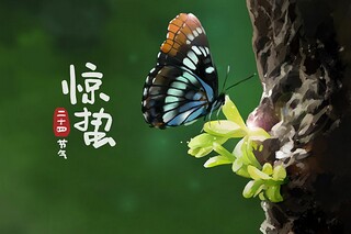 徐志摩描写冬天的诗(徐志摩诗集中写冬天的现代短诗)