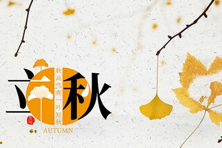 驯龙记观后感800字作文四篇(驯龙记观后感300字)