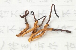 收获知识作文(收获知识作文400字)
