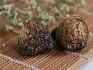 苏轼诗句_苏轼诗句中好听的名字