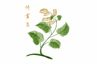范进中举说课10分钟范例_范进中举说课稿