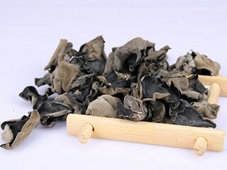胜似亲人的作文400个字_胜似亲人的作文