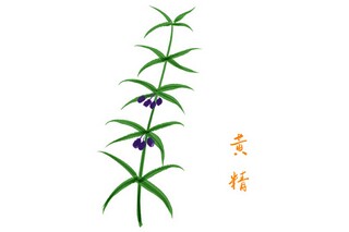 大学班级活动计划书(大学班级活动计划书)