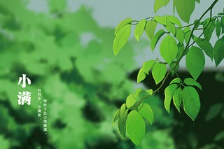 读书的诗句(读书的诗句还有哪些)