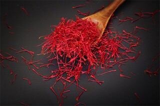 催人泪下父亲悼词_父亲去世祭文悼词