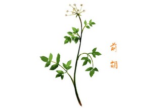 霜降的文案(霜降的文案发朋友圈)